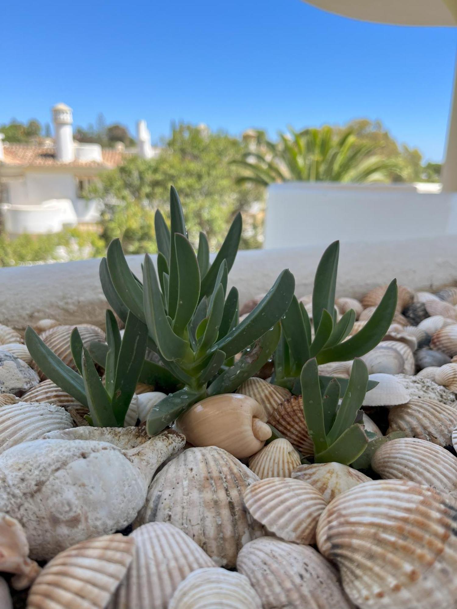 Casadeleon - Costadelsol Vacations & Remote Work Sitio de Calahonda Luaran gambar