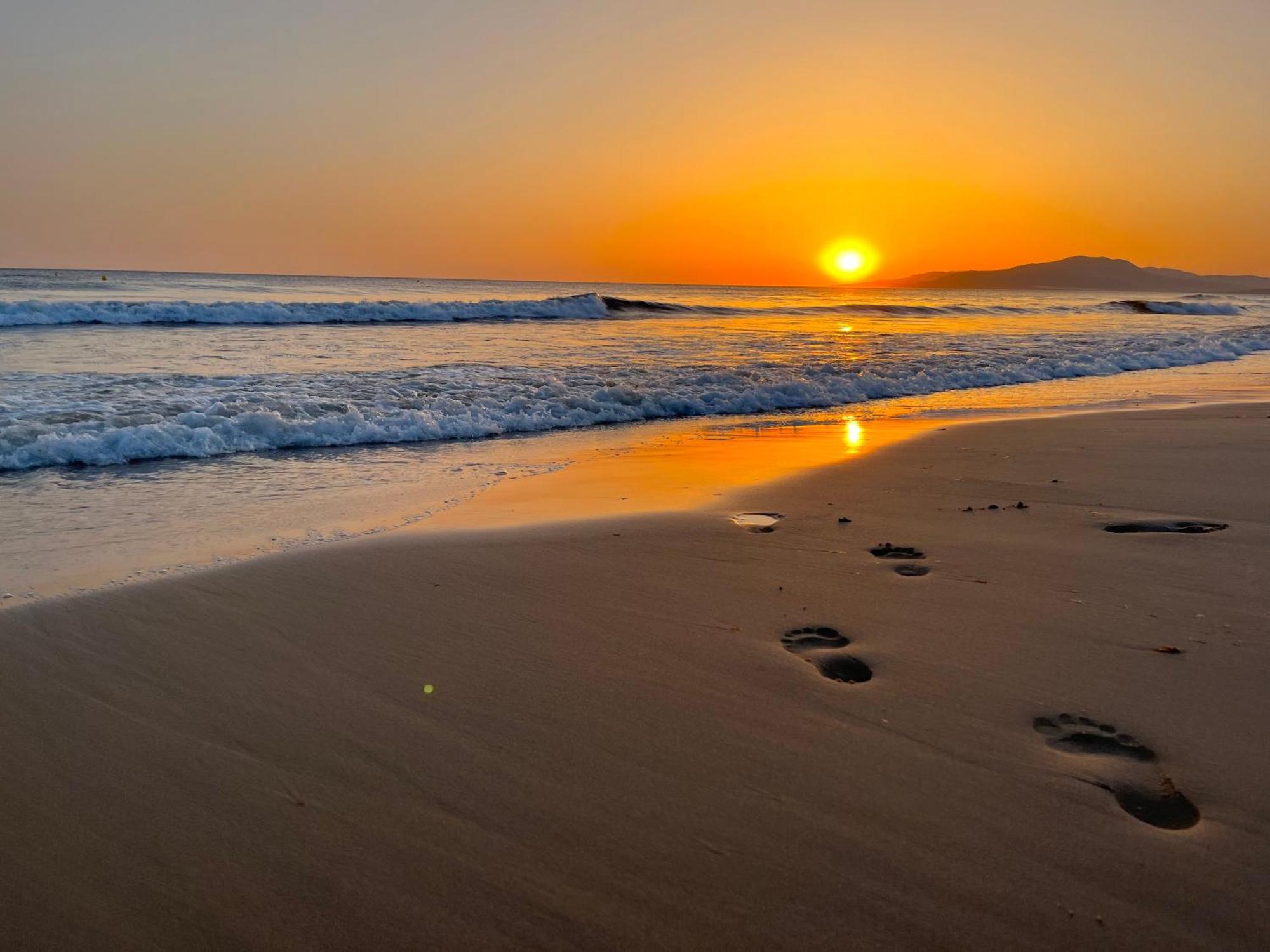 Casadeleon - Costadelsol Vacations & Remote Work Sitio de Calahonda Luaran gambar